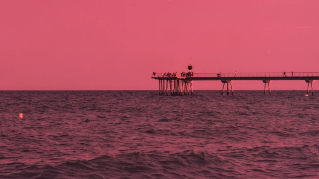 Imagen destacada de Fluxión Magenta